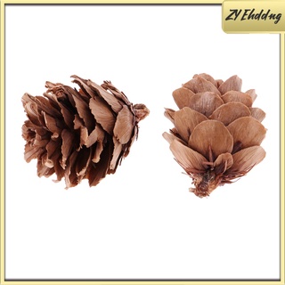 a granel 30 x conos de pino premium pinecones hogar guirnalda diy adornos decoraciones (1)