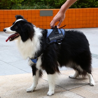 Collar ajustable de arnés Halter para mascotas/perro/malla transpirable/chaleco para mascotas/suministros para perros