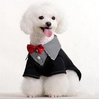 Gato pajarita mascota perro Collar Bowknot ajustable corbata pajarita Collar accesorios para mascotas