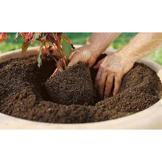 Tierra Abonada Plantas Todo Tipo Cultivos Crecimiento 1kg 1a (2)