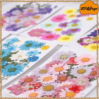 Dried And Pressed Natural Leaves And Flowers, Colorful Flower Decorations (9)