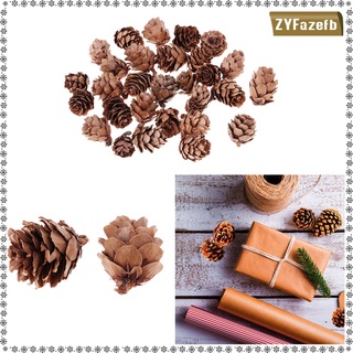 120 piezas de conos de pino natural conos de pino natural flores secas para (9)