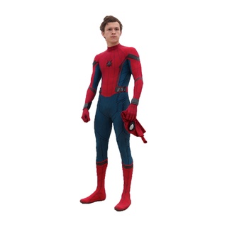 Adultos hombres Spider Man disfraz 3D Halloween Spandex superhéroe Fullbody Cosplay disfraz Tom Holland