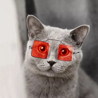gafas para mascotas gato perro accesorios plástico resina metal divertido personalidad fotografía decorar bloqueador solar luz fuerte resistente