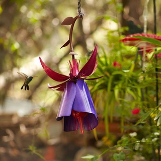 Syd elegante flor colgante colibrí alimentador bebedor exterior decoración pájaros agua dispensador de alimentos al aire libre alimentos (8)