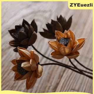 30 x lotes de loto seco vaina rústica artística de loto para decoraciones (4)