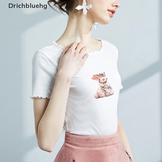 (drichbluehg) lindo conejo parche de transferencia de calor hierro en transferencia para ropa insignia pegatina en venta