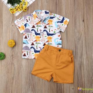 Sk -pantalón de verano para bebé/niño/camiseta de dinosaurio/pantalones cortos/conjunto de traje de vacaciones (1)