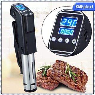 kitchen led smart steak sous vide cooker robusto circulador máquina de cocina