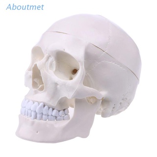 aboutmet anatomía anatómica humana cabeza esqueleto cráneo modelo de enseñanza suministros escolares herramienta de estudio
