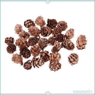 30 piezas de conos de pino seco natural, hogar de boda, manualidades, rbol de (2)
