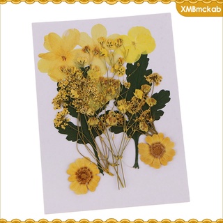 1 bolsa natural real prensada flor seca para manualidades manualidades joyería hecha a mano (7)