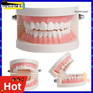 buyme estudio dental enseñanza de dientes modelo de cuidado oral cuidado dental equipo dentista