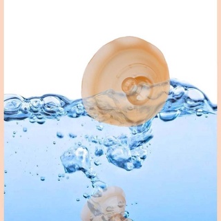 Loner - Protector de pezón de silicona de doble capa para lactancia materna (5)