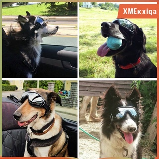 Gafas para perros Proteccin UV para ojos Gafas de sol para mascotas (5)