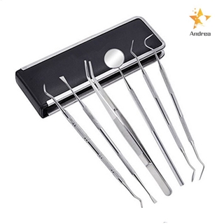 6 piezas de herramientas dentales de acero inoxidable higiene explorador de sonda gancho pick escalador espejo pinzas (3)