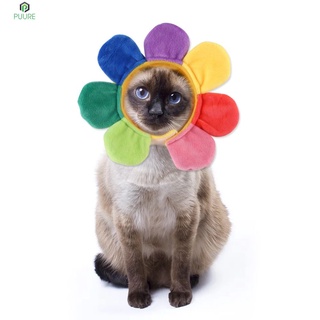 [2] Sombrero de girasol para mascotas, vestido de peluche, flor, tocado de gato, productos para mascotas, zapatos de poliuretano (1)