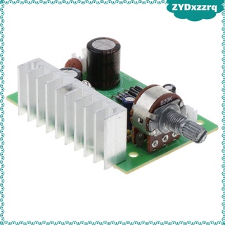 ac/dc 12v 20w tda2030 mono audio amplificador de potencia de la junta verde montado
