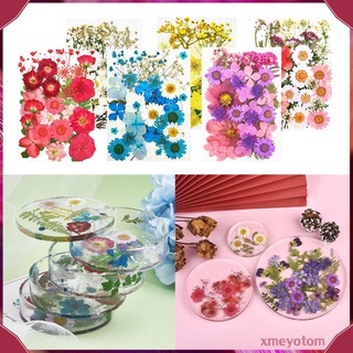 Real Dried Pressed Flowers Dry Leaves for Candle Making Crafts Resin Jewelry