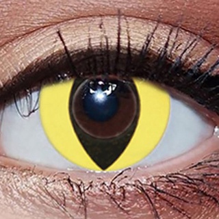 lentes de contacto para ojos de gato/lentes de contacto con miopía/lentes de contacto para miopía (7)