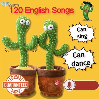 120 Inggeris Tiktok Dancing Cactus juguete Fancy Cactus baile Cactus Pinched Cactus IVY2019