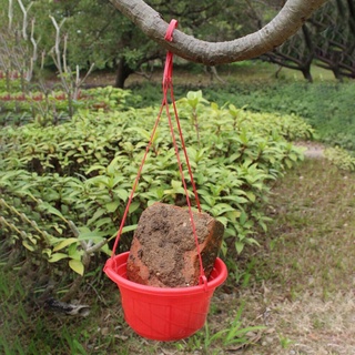 mcbeath 1pc cesta colgante de plástico decoración de jardín maceta cadena balcón clorofila redondo durable macetas del hogar/multicolor (8)