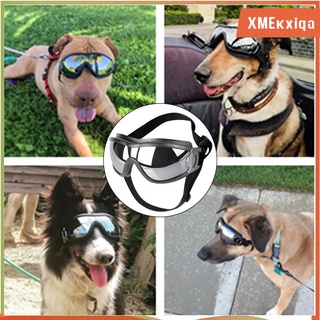 Gafas para perros Proteccin UV para ojos Gafas de sol para mascotas