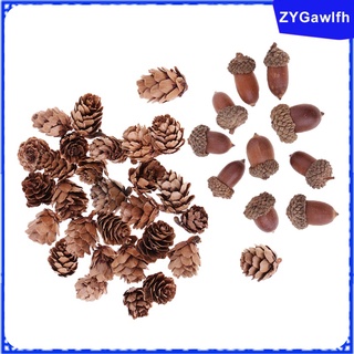 40 Pieces Natural Pine Cones Acorns Dried Table Ornament For Home Decoration (5)