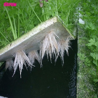 dhr hidropónico vegetal flotante junta sin tierra equipo de cultivo tablero de espuma
