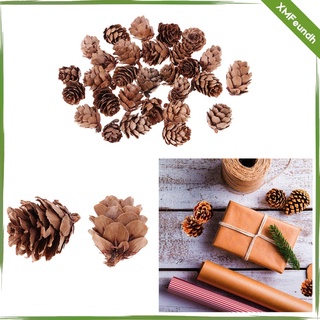 90 Pieces Natural Dried Pine Cones In Bulk Dried Flowers for (7)