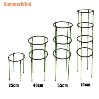Summerwind (+) 4 piezas de soporte para plantas de jardín, jaula para flores, soporte para jardinería, Bonsai