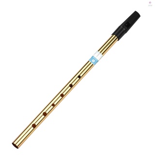 [música] Silbato irlandés flauta llave de D 6 agujeros flauta viento instrumento Musical