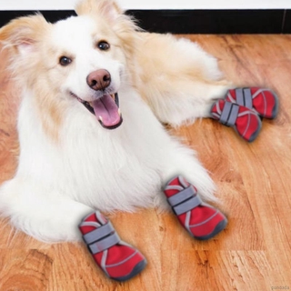 zapatos para perros antideslizantes cómodos 4 piezas zapatos de perro (3)