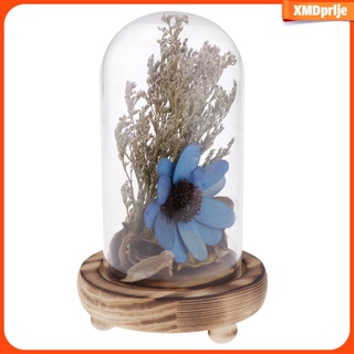moderna flor seca real natural conservada en vidrio girasol micropaisaje (1)