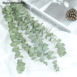 (newfashionhg) eucalipto natural para hojas de flores secas decoraciones diy decoración de boda hogar en venta