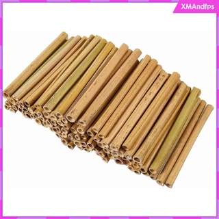 30x real paja de bambú hueco tubo de madera hecho a mano titular de la pluma suministros de madera