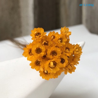arizony 30Pcs Dried Flowers Long Lasting Anti Allergic Natural Vivid Gypsophila Dried Flowers for Home (3)