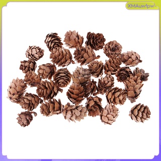 30 x pequeños conos de pino seco natural en flores secas a granel para (4)
