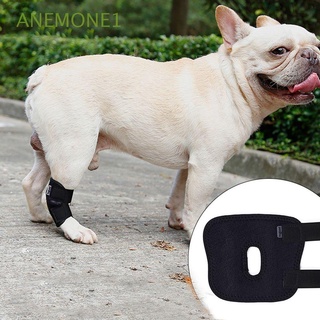 Anemone1 Material de buceo ligero transpirable para pequeñas, medianas y grandes almohadillas de apoyo para perros