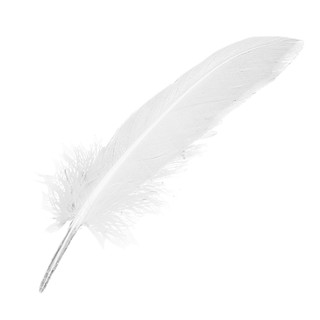 100 piezas de plumas blancas de ganso para fiestas, sombrero, manualidades, decoración de boda, 15-22c