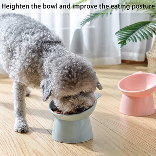 [Coldwendys] Cat Dog Bowl Raised Cat Food Water Bowl Raised Cat Food Bowl Elevated Stand Pet