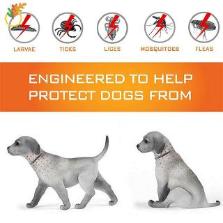 Collar ajustable para mascotas/perros/gatos/8 meses/protección duradera/Anti pulgas/pulgas y garrapatas (1)