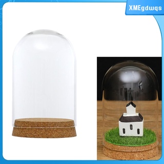cubierta decorativa de cristal transparente cloche campana tarro de exhibición con base de madera rústica mesa central de mesa domo terrario contenedor (8)