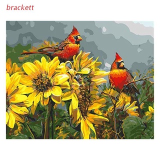 brackte Paint For Adults and Kids DIY Oil Painting Kits Pre-Printed Canvas -Turkey Bird