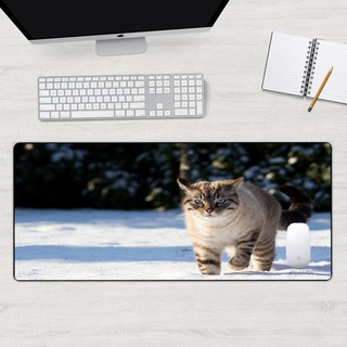 Hot sales Animal Cat mousepad picture Big promotion New Designs Gaming Speed Mouse Pad gamer play mats Small Size extended mouse pad for gaming with light xiyingdan1