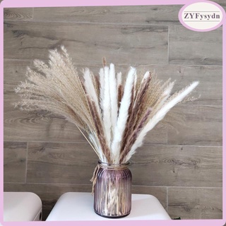 Dried Pampas Grass 60pcs 17 Inch Tall Natural Dried Flowers Arrangements for Wedding Door Vase Wreath Decor Reed Flower Stems Bunch