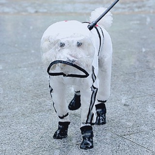 Funda De lluvia Para perros/Gatos Transparentes impermeables/funda De lluvia Para perros pequeños (2)