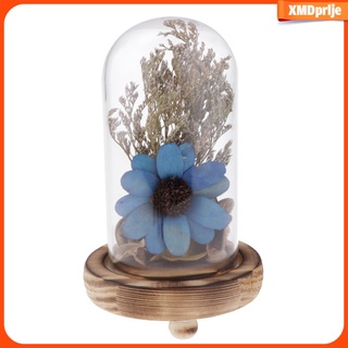 moderna flor seca real natural conservada en vidrio girasol micropaisaje (4)