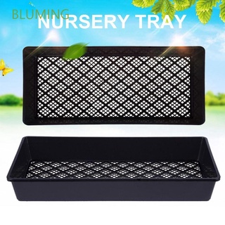BLUMING 5Pcs Nursery Pot Seed Grow Box Seedling Tray Tray with Holes Seedling for Planting Rectangular Starter Garden Supplies/Multicolor