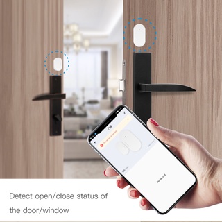 dreamlist Tuya ZigBee Smart Window Door Gate Sensor Life App Home Security Sistema De Alarma (3)